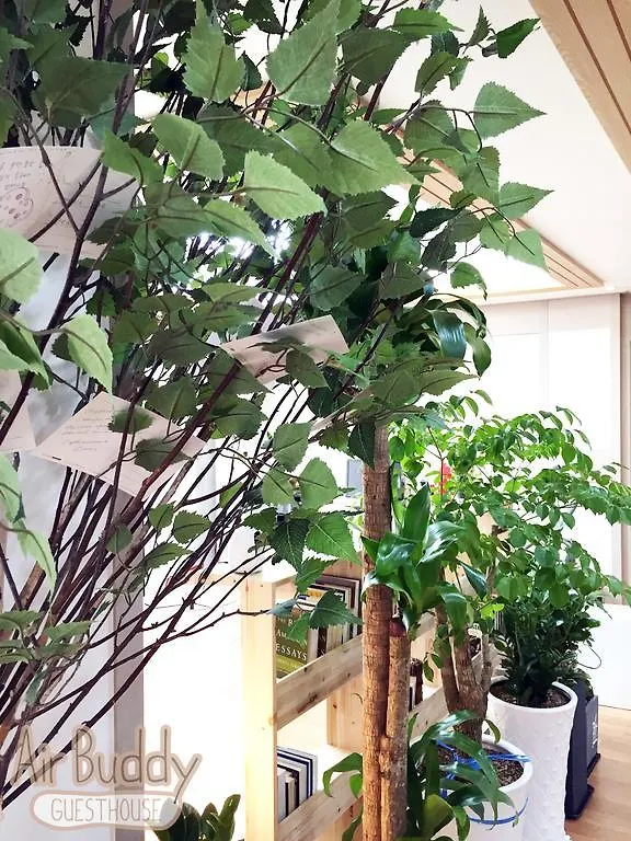 Airbuddy Guesthouse Incheon Airport Südkorea