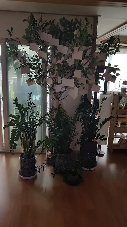 Airbuddy Guesthouse Incheon Airport 게스트하우스